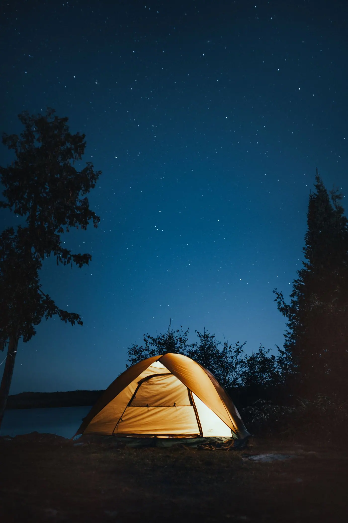WildStay